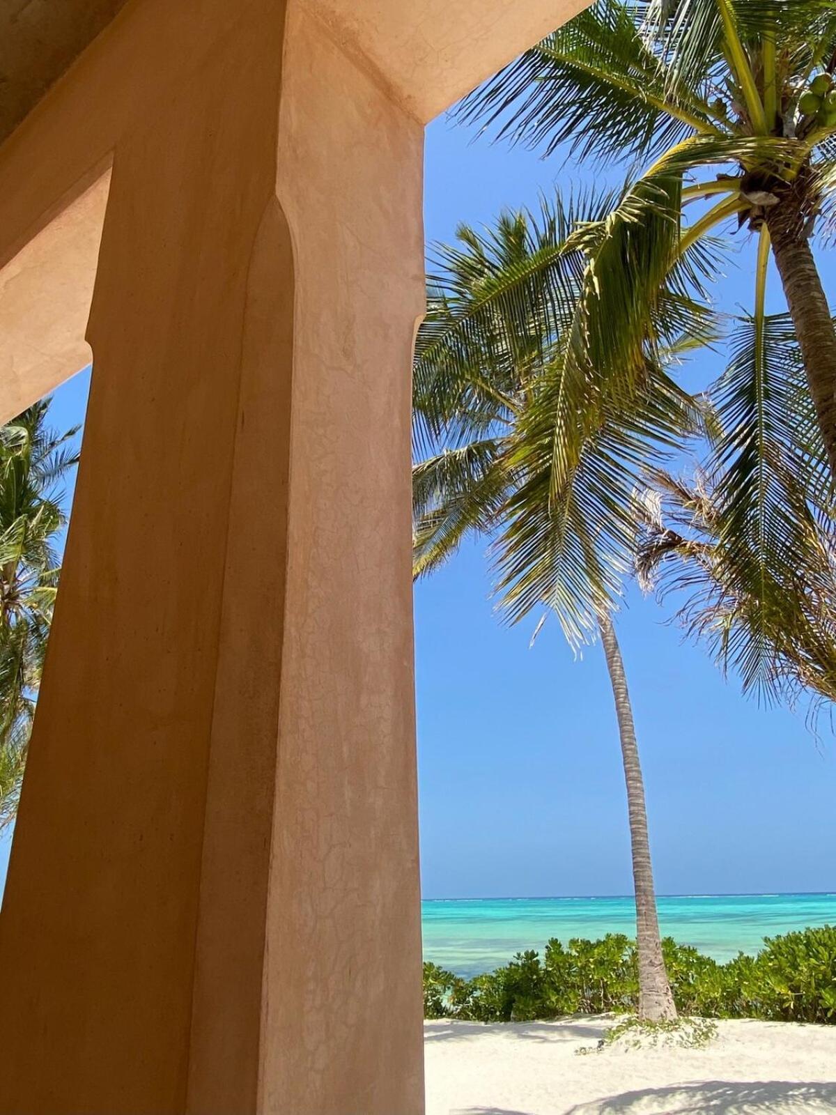 Mikoko - Zanzibar