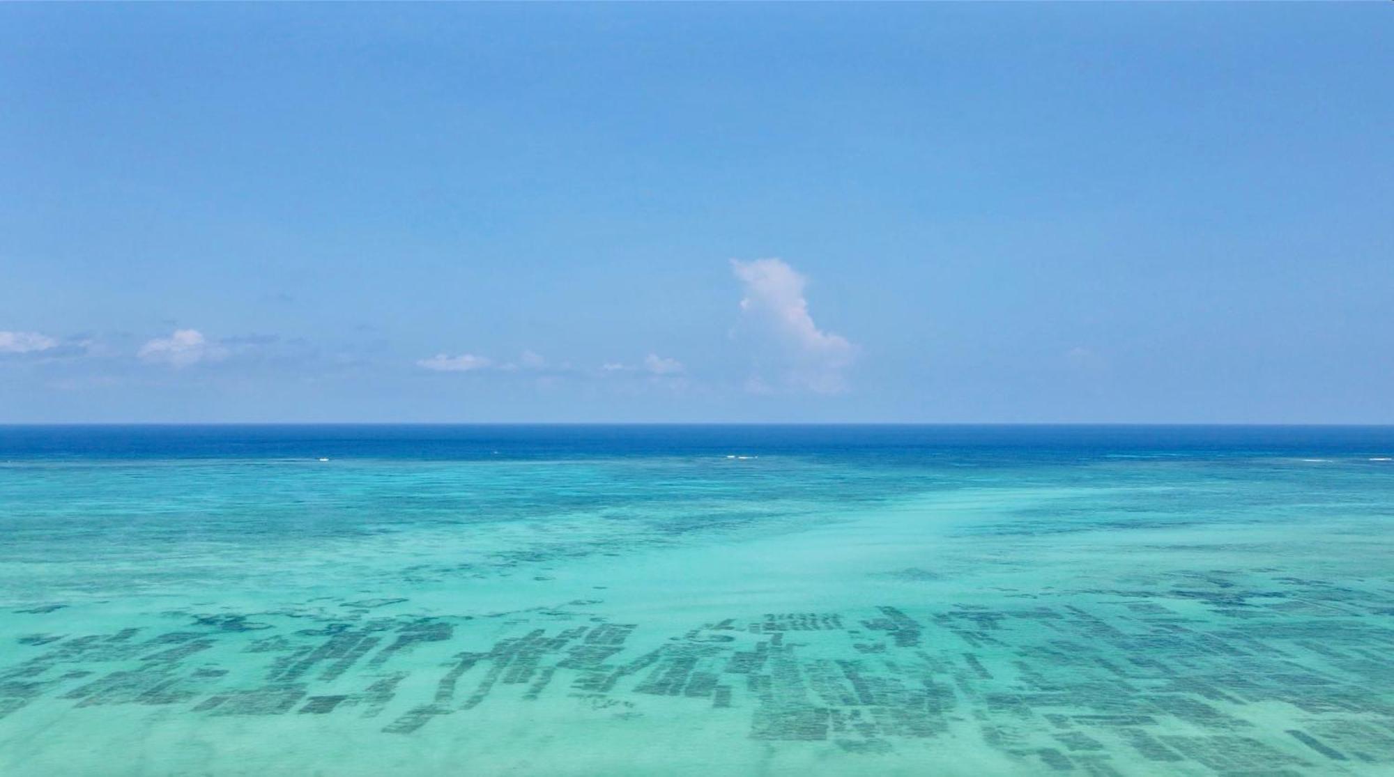 Villaer Mikoko - Zanzibar *